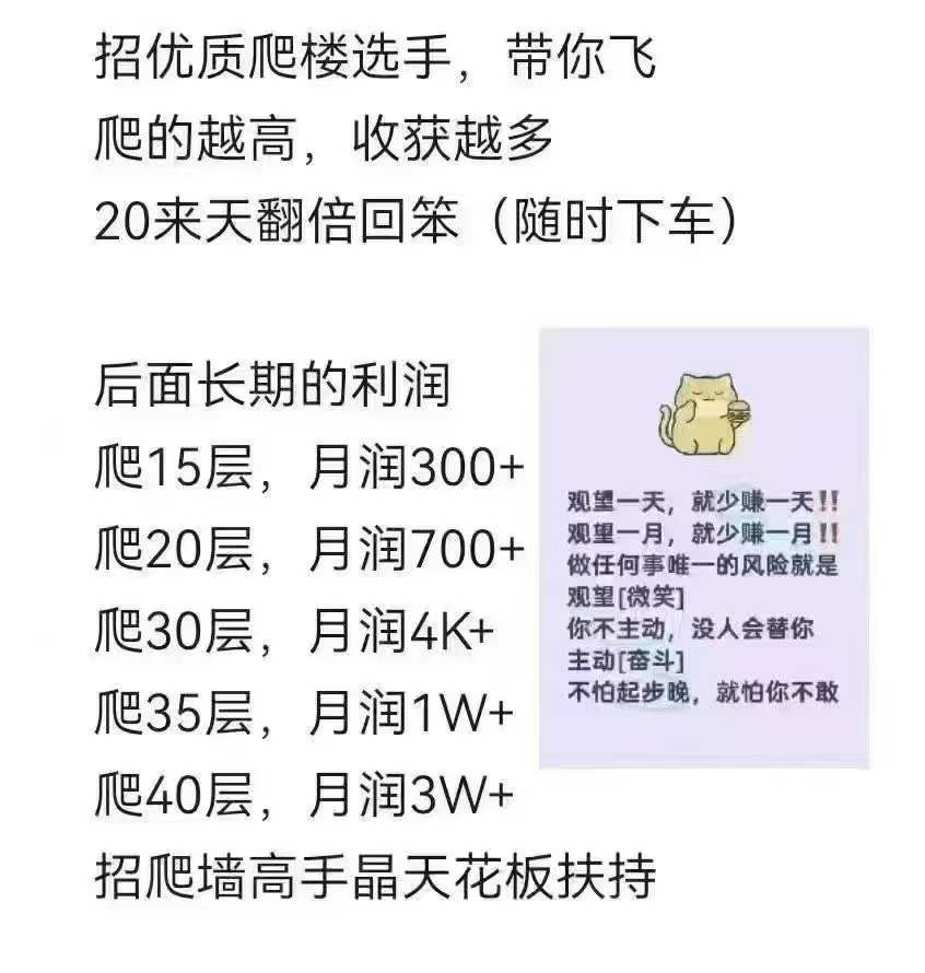 智链星途2025黑马项目，星途招爬15-30级选手！致富2025！-317首码网