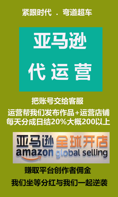 亚马逊代运营 下店给1000 每天日结200多-317首码网