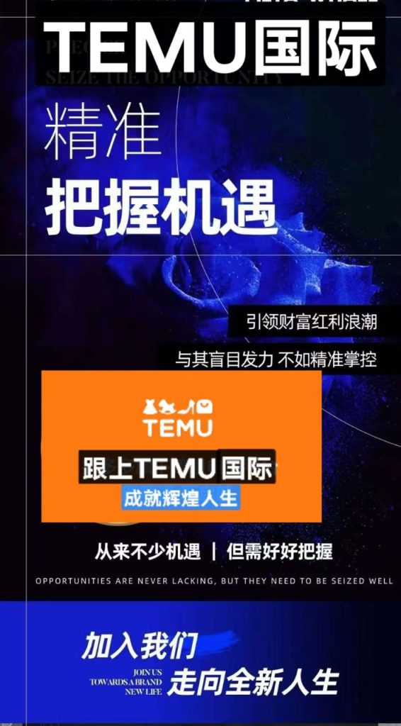 TEMU，TEMU，TEMU-317首码网