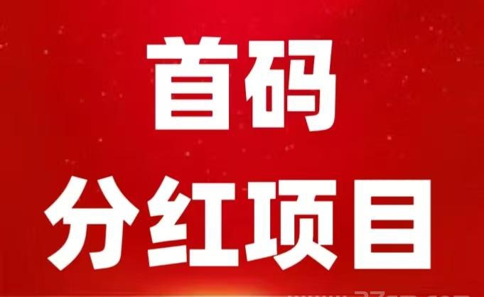 ai云游首码，新出一秒，持菳币分葒玩法-317首码网