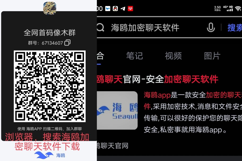 零撸项目群-317首码网