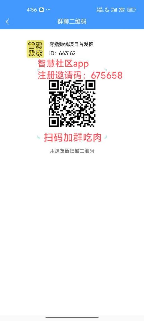 零撸赚钱项目首发群-317首码网