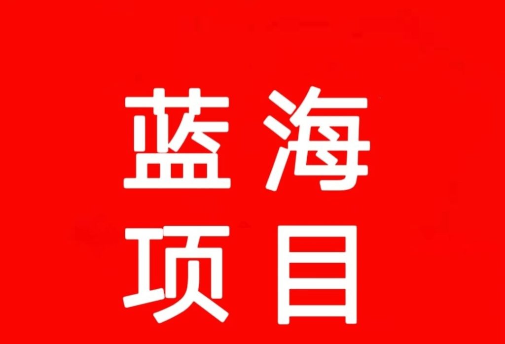 首码星探先机每天轻松赚100~500副业首选-317首码网