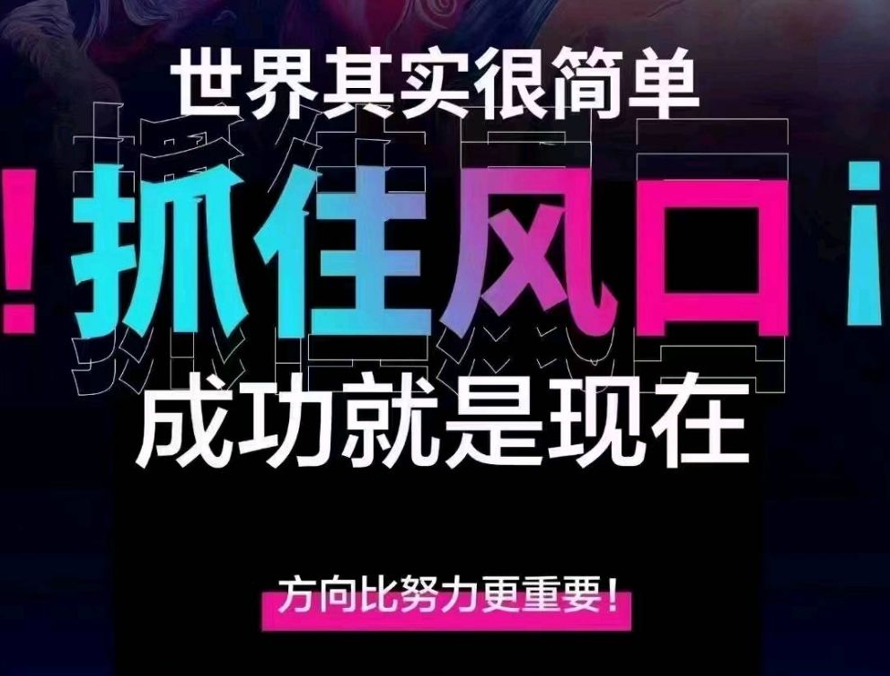 首码全新风口收益爆炸推广躺赚几年-317首码网